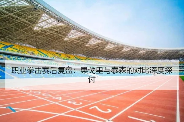 职业拳击赛后复盘：果戈里与泰森的对比深度探讨